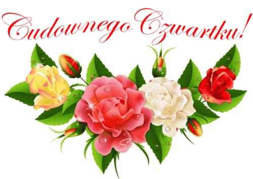 Kolorowe kwiaty cudownego czwartku
